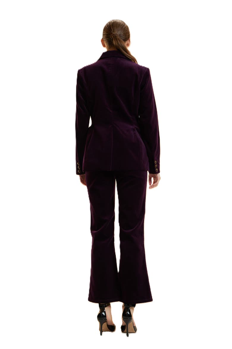 Velveteen Fitted Blazer, Alternate, color, Purple