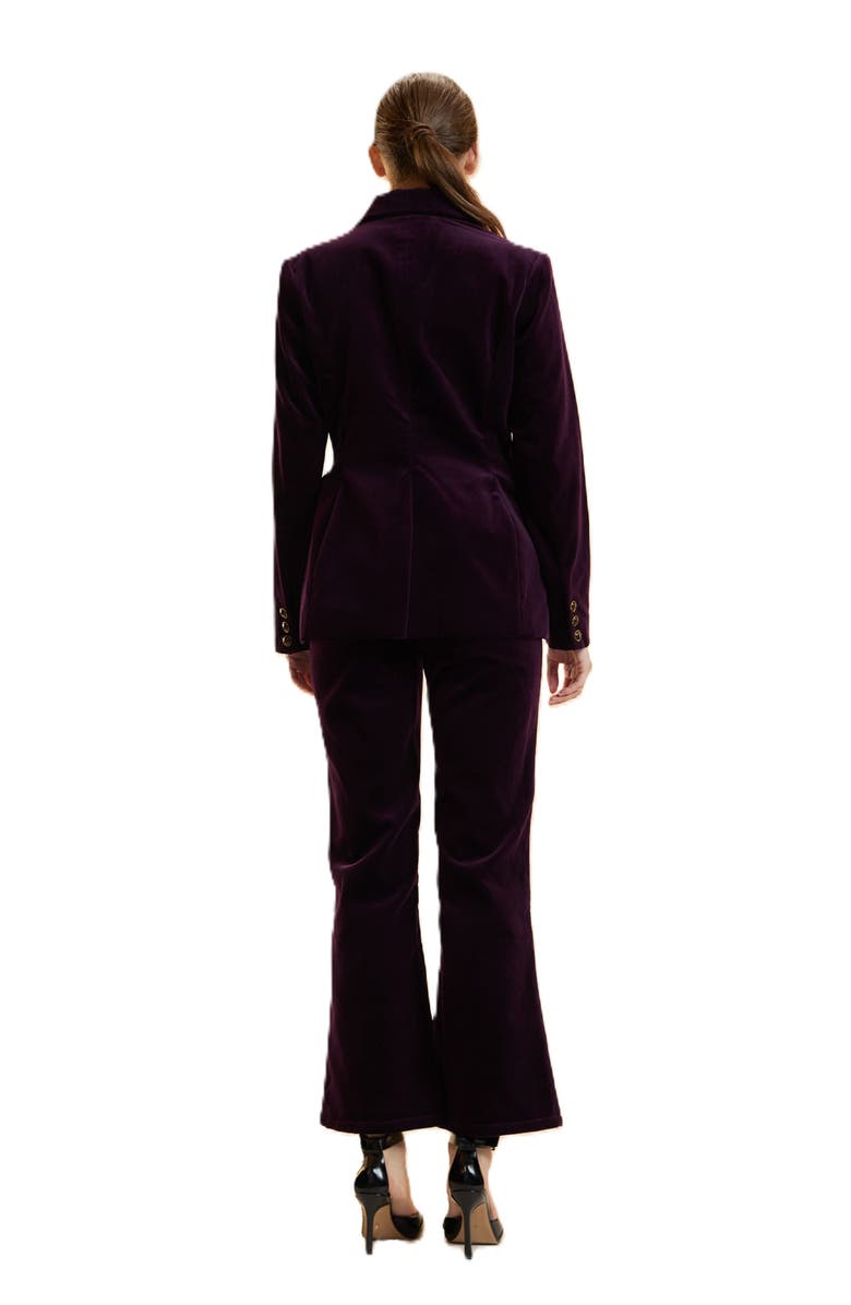 Cynthia Rowley Velveteen Fitted Blazer, Alternate, color, Purple