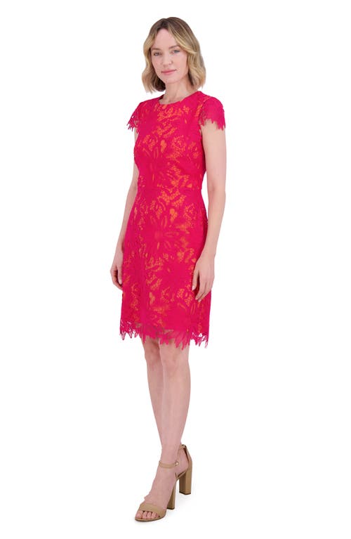 Vince Camuto Floral Lace Cap Sleeve Dress In Pink