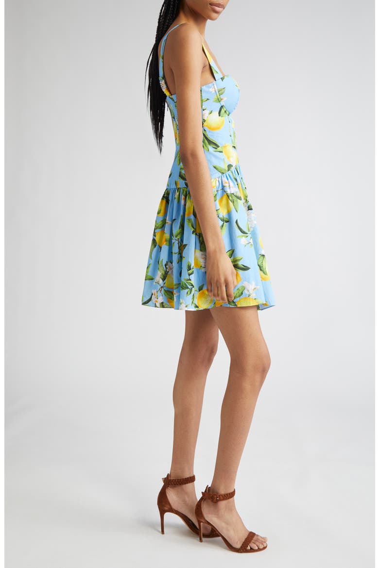 Jai Lemon Print Corset Minidress, Alternate, color, SKY BLUE/ YELLOW FLORAL LEMON