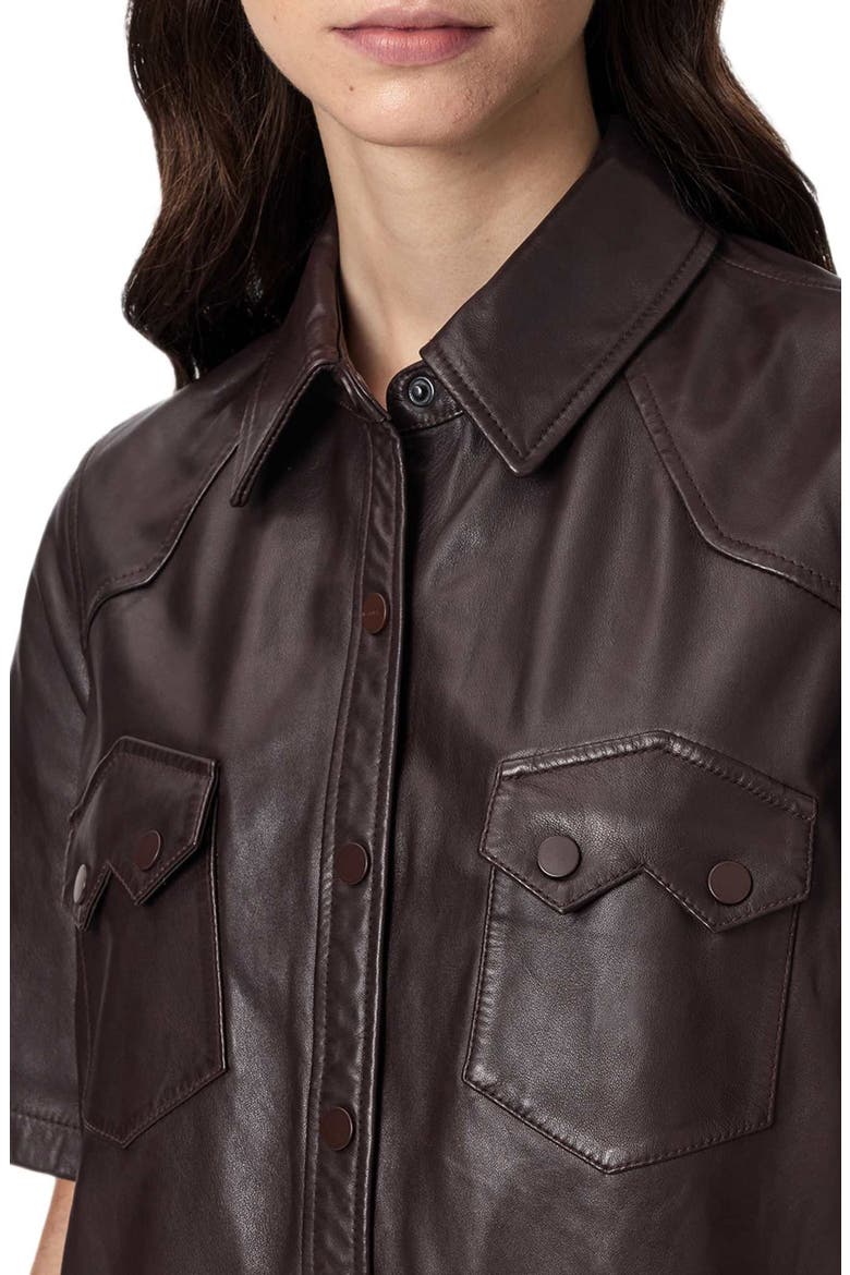 Rock Western Leather Mini Shirtdress, Alternate, color, OXBLOOD RED
