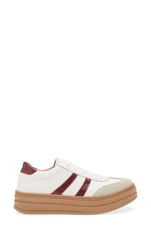 Chocolat Blu Valox Sneaker In Multi
