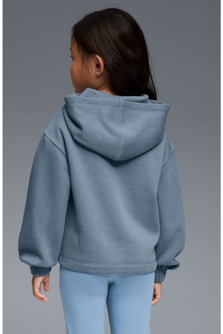 Kids' Class Pack Cotton Blend Fleece Hoodie, Alternate, color, SKY/ PEWTER