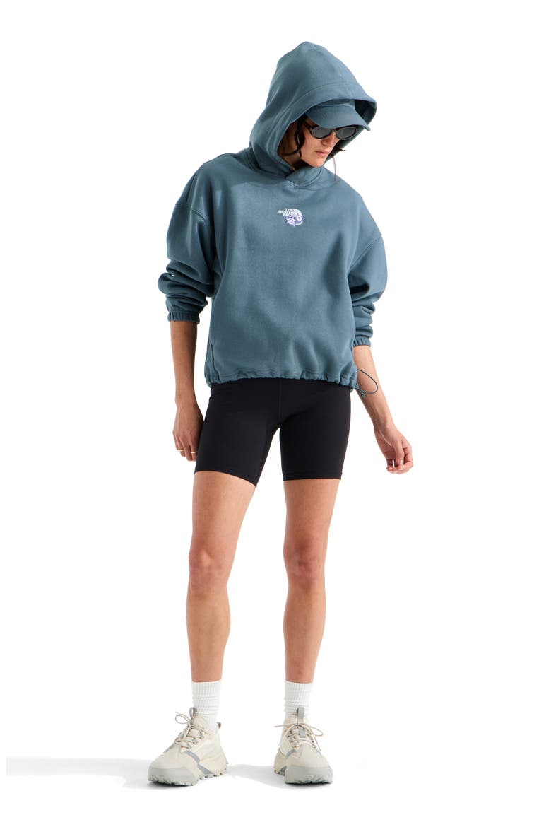 Places We Love - Rockies Pullover Hoodie, Alternate, color, GRANITE GREY