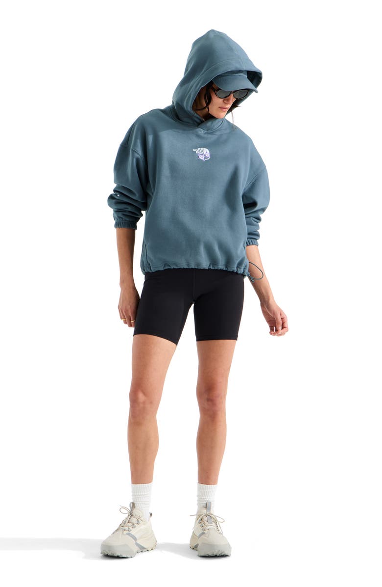 The North Face Places We Love - Rockies Pullover Hoodie, Alternate, color, Granite Grey