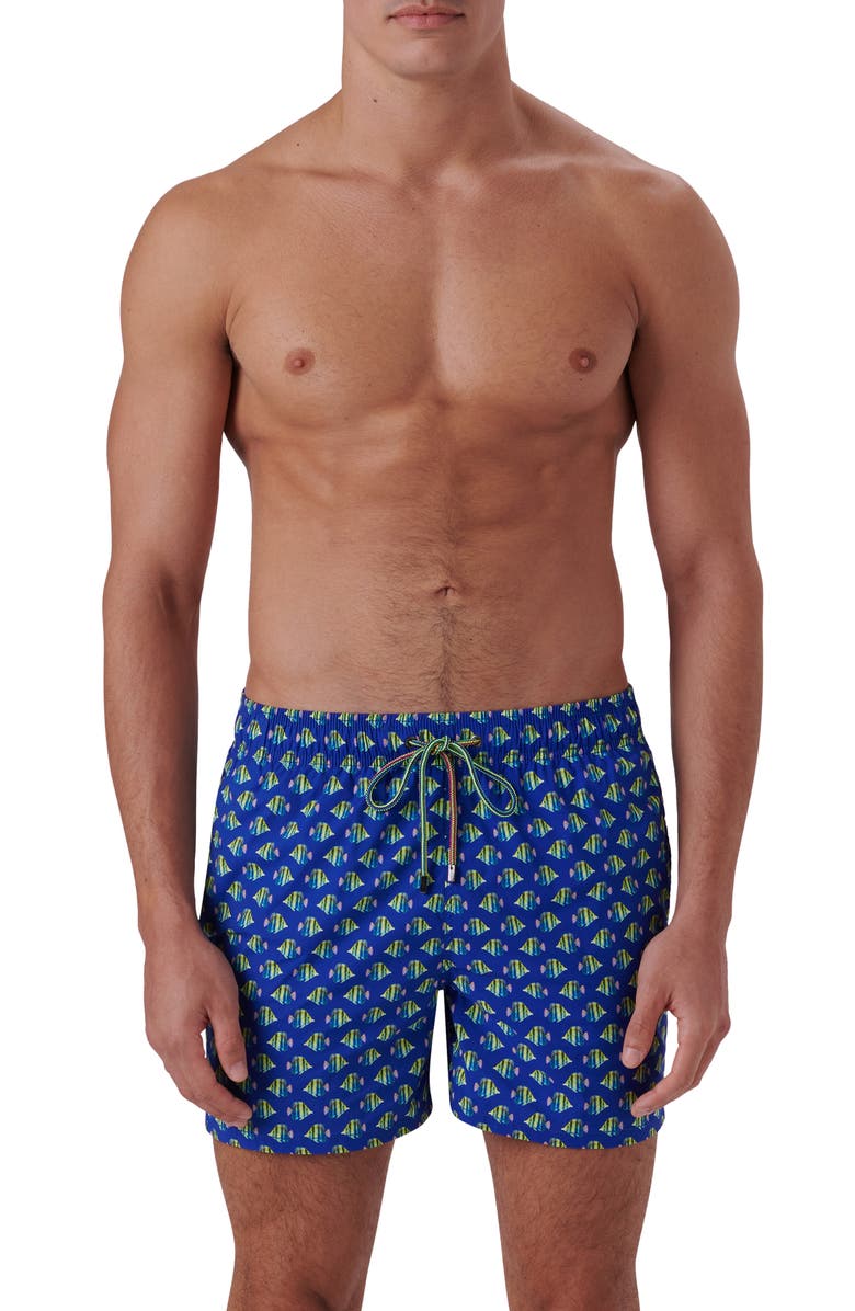 Bugatchi Archer Fish Print Swim Trunks, Main, color, Royal
