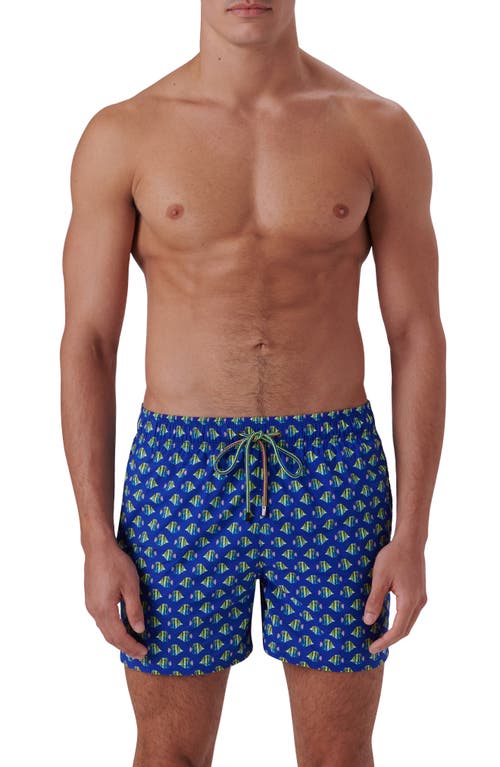 Bugatchi Archer Fish Print Swim Trunks in Royal  product