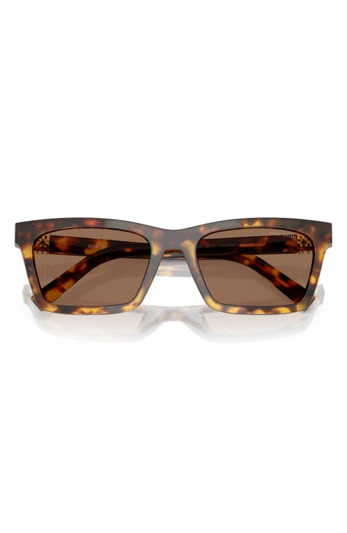Miu Miu 55mm Rectangular Sunglasses In Dark Brown