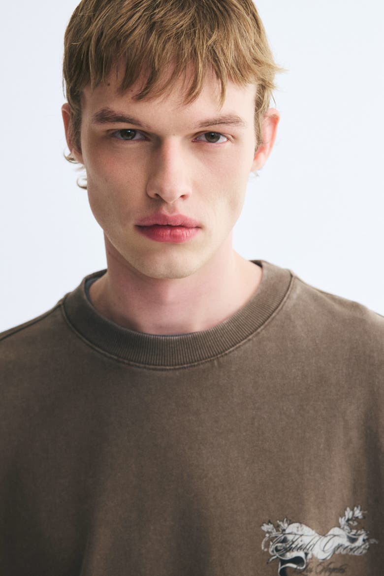 Oversized Boxy Printed Cotton T-Shirt, Alternate, color, Dark taupe/Field Goods