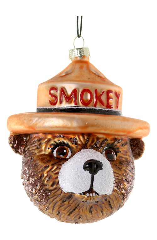 Cody Foster & Co. Smokey Bear Glass Ornament in Brown Multi 