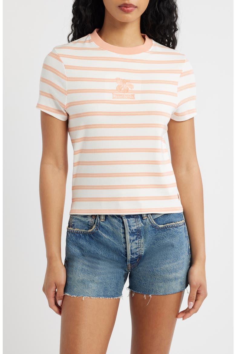 Stripe Embroidered Fitted T-Shirt, Main, color, PAPAYA STRIPE