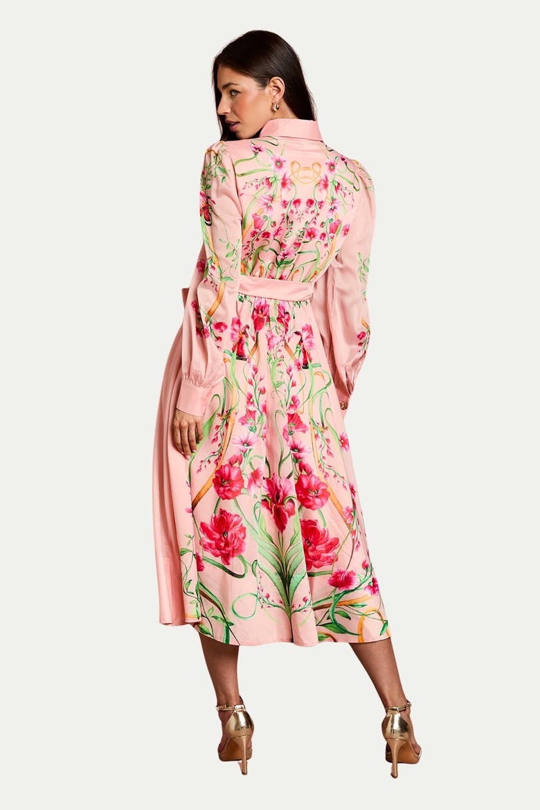 Border Print Organza Shirt Dress, Alternate, color, Blush