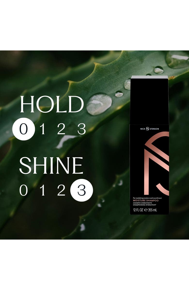 Nick Stenson Beauty Moisture Shampoo, Alternate, color, 33 Oz.