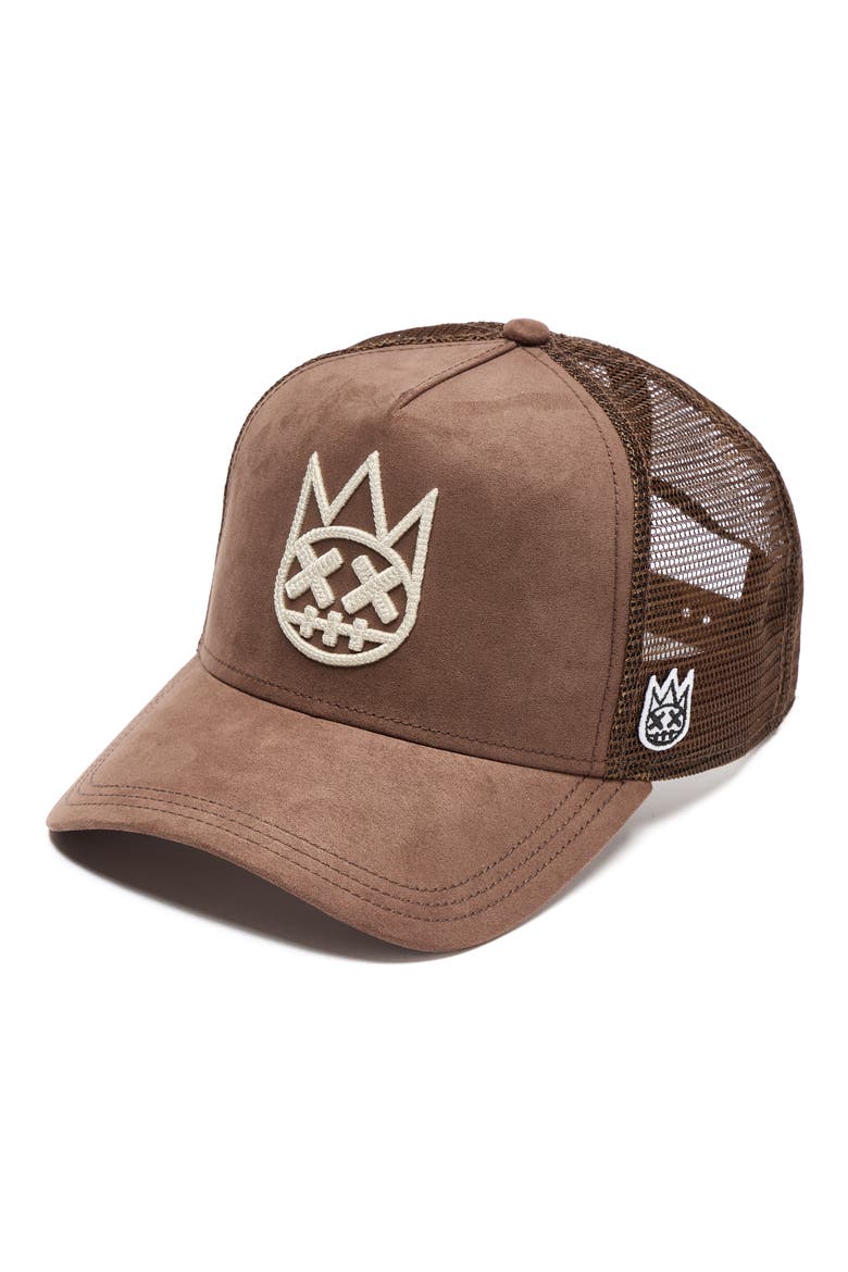 Logo Mesh Back Trucker Baseball Cap, Alternate, color, PINECONE