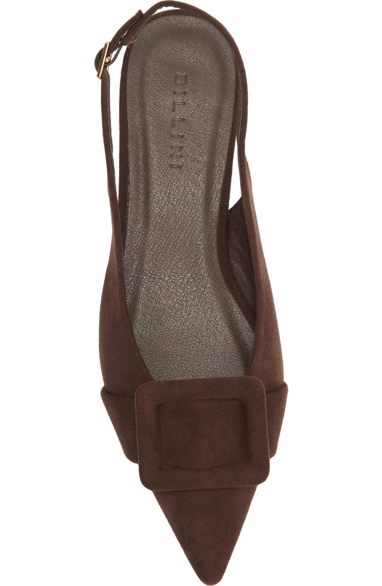 Billini Morwenna Flat, Alternate, color, Dark Cacao Suede