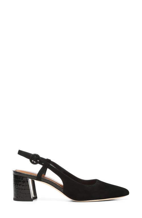 Donald Pliner Song Slingback Pointed Toe Pump In Black