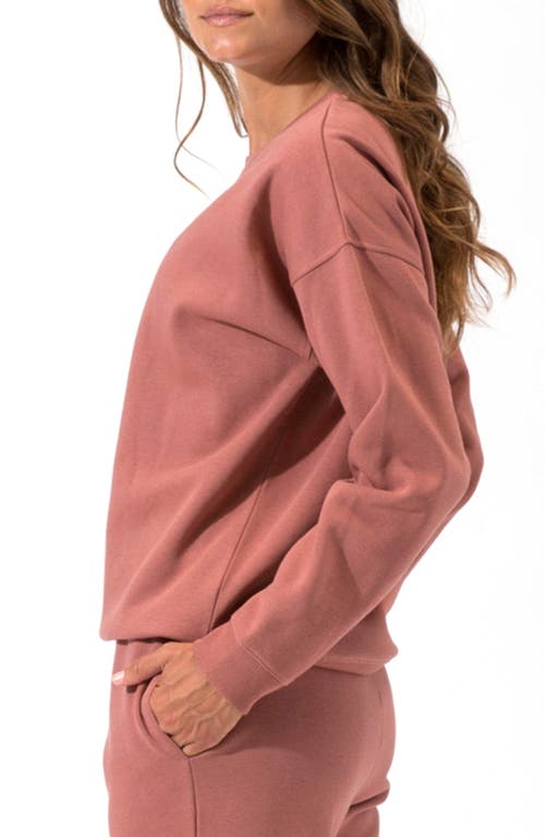 Threads 4 Thought Invincible Organic Cotton Blend Fleece Sweatshirt In Brown
