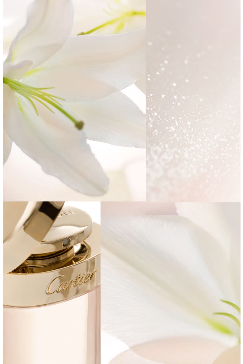Cartier Baiser Volé Fou Eau de Parfum, Alternate, color, NO COLOR