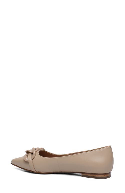 Linea Paolo Nora Pointed Toe Flat In Brown