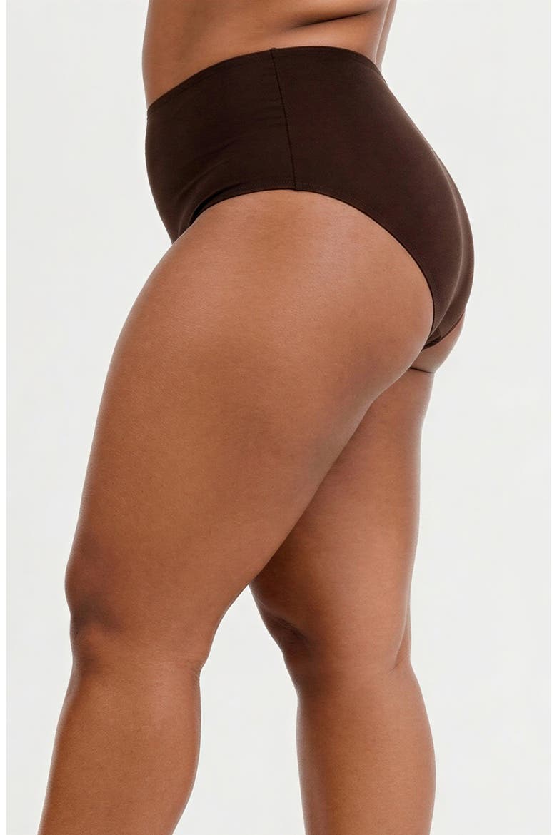 Plus Size High-Waisted Bikini Bottom, Alternate, color, Chocolate Brown