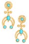 selected Turquoise