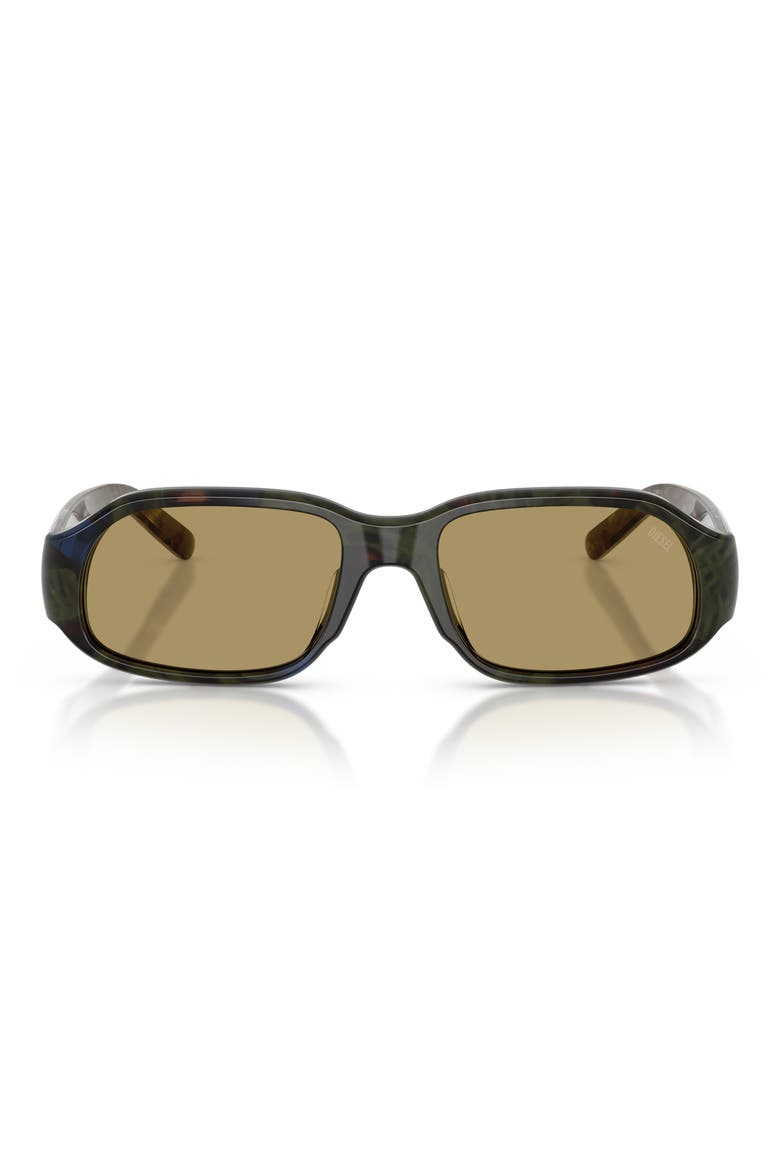 55mm Oval Sunglasses, Main, color, GREEN HAVANA / GREEN