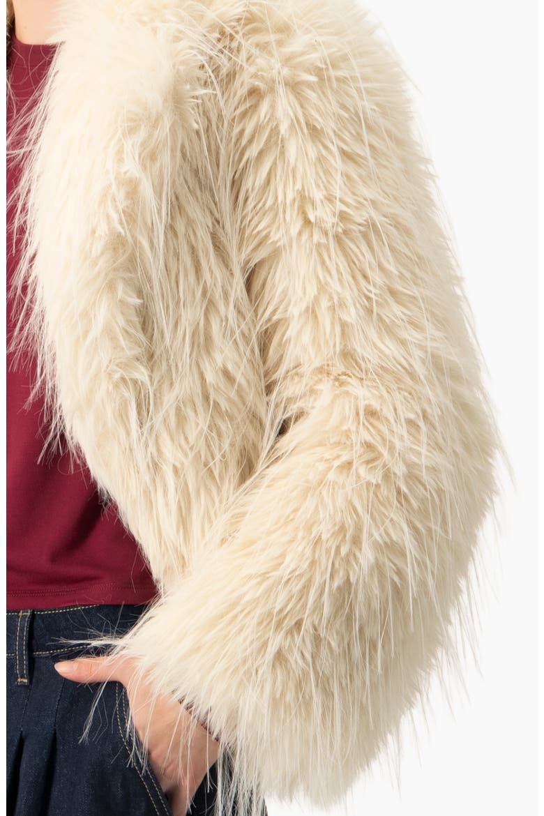 Faux-Fur Plush Teddy Coat, Alternate, color, Ivory