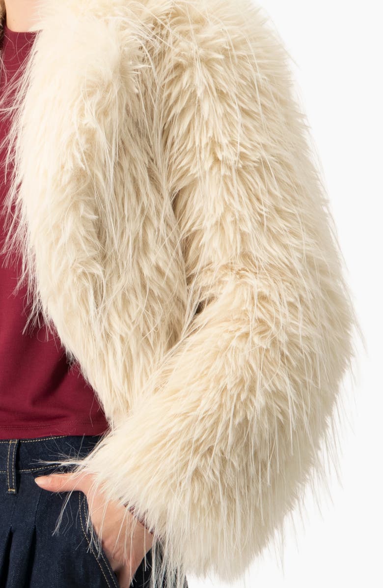 IVONNE Faux-Fur Plush Teddy Coat, Alternate, color, Ivory