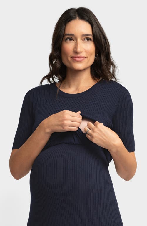 Shop Seraphine Layered Maternity/nursing Dress In Blue