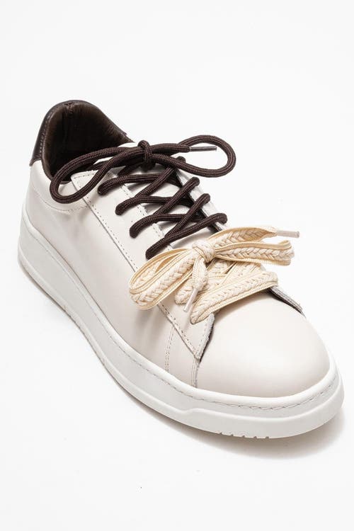 Forever & Always Shoes Warron Leather Sneakers In Brown