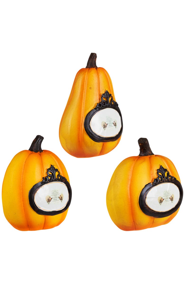 Northlight "Thanks, Today, Tomorrow, Always" Fall Harvest Pumpkin Decorations - 5.5" - Set of 3, Alternate, color, Orange