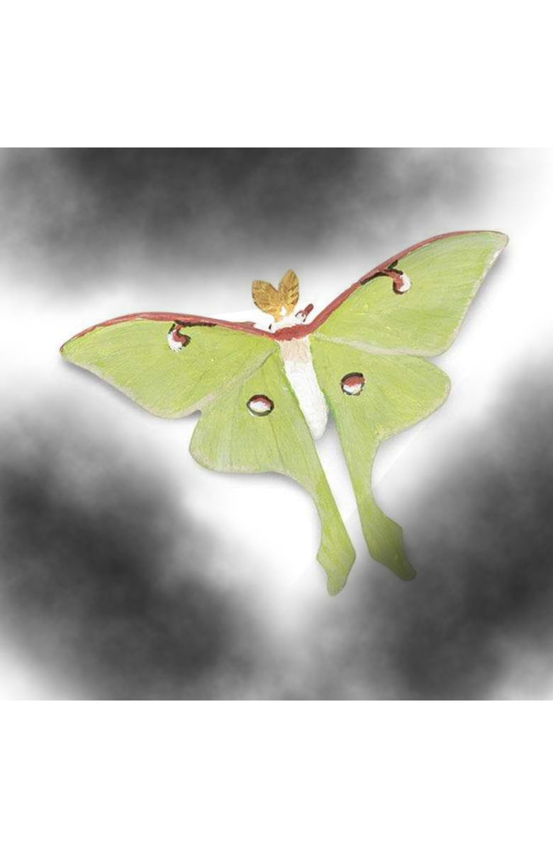 Safari Ltd. Life Cycle Of A Luna Moth, Alternate, color,