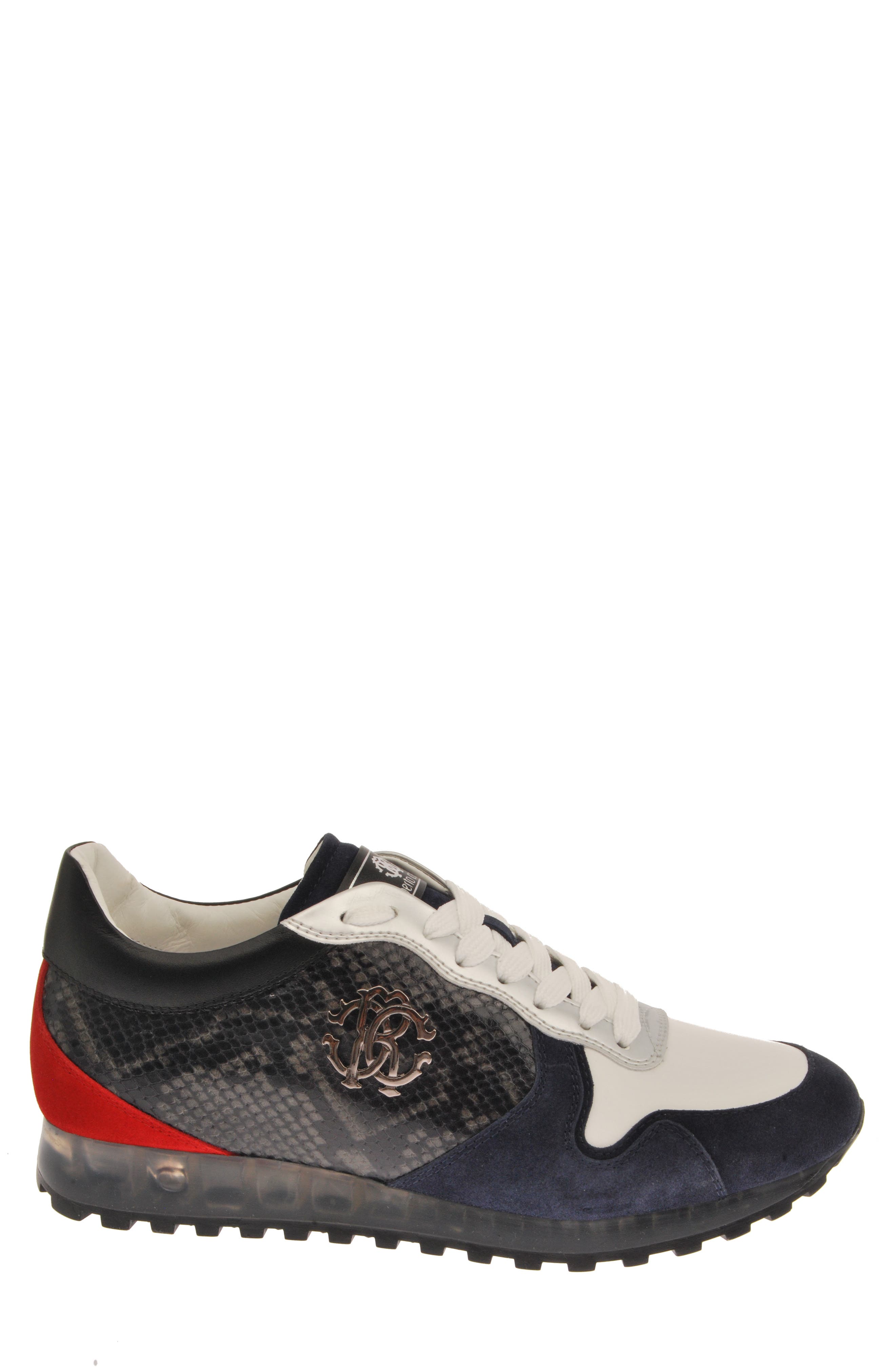 Roberto Cavalli Snake Print Sneaker, Alternate, color, 