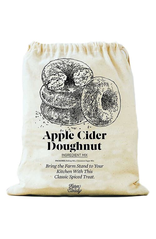 Brooklyn Brew Shop Apple Cider Doughnut Making Kit in Canvas  product