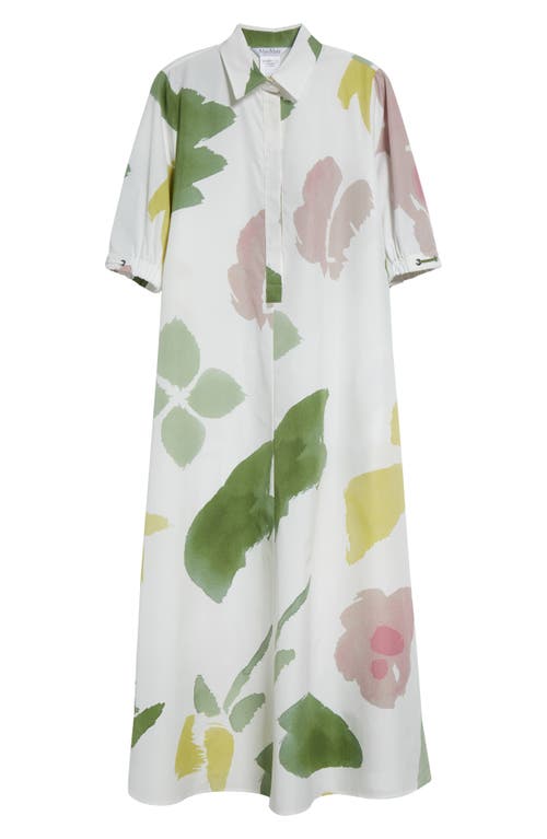 Max Mara Canter Botanical Print Cotton Shirtdress In White