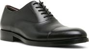 Steve Madden Hallifax Leather Cap Toe Oxford