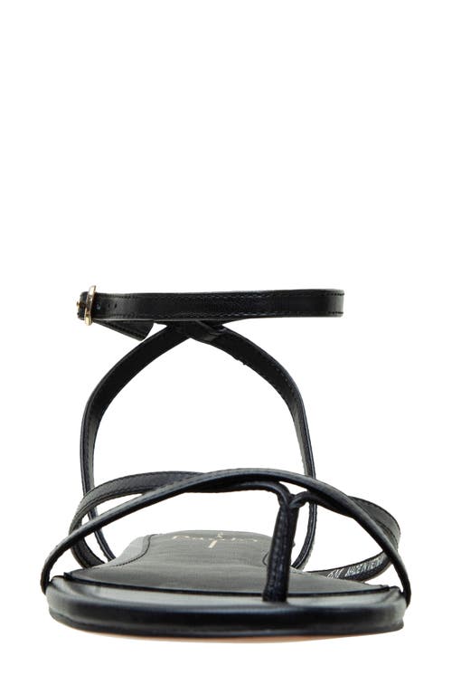 Shop Linea Paolo Luz Ankle Strap Sandal In Black