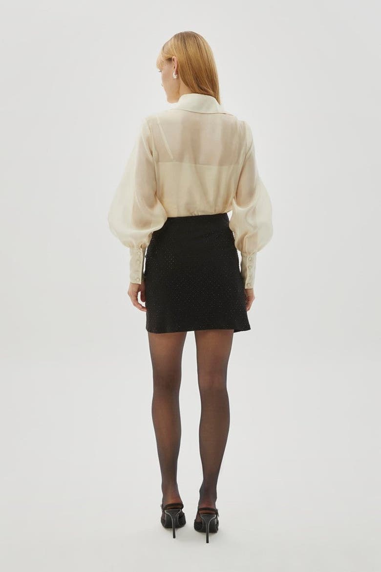 Ruffle Trim Embellished Mini Skirt, Alternate, color, BLACK