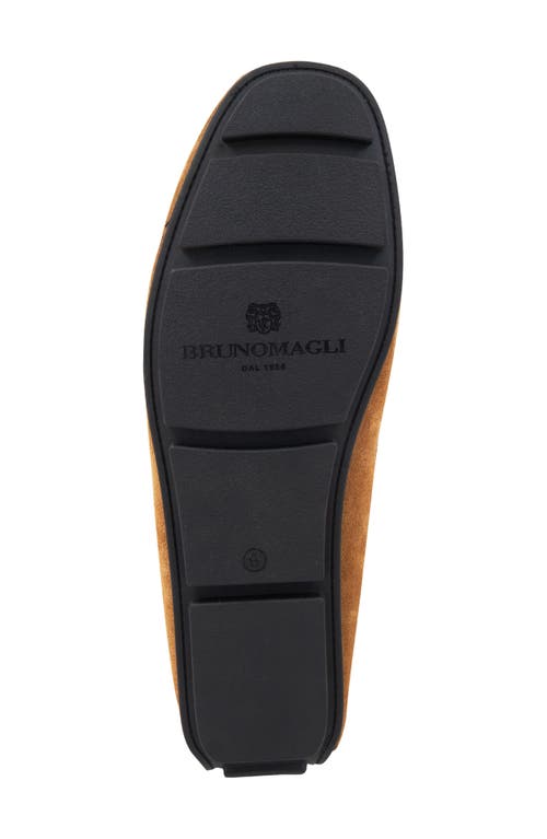Bruno Magli Taso Bit Driving Loafer In Cognac Suede