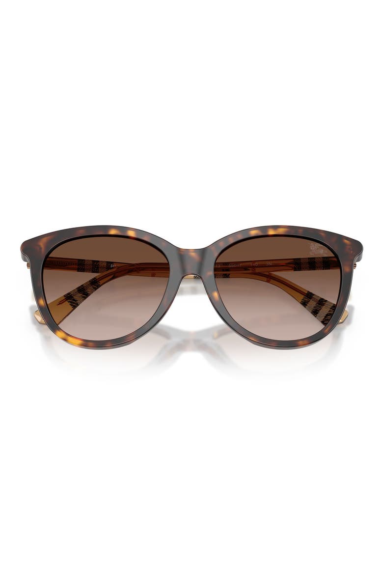 55mm Phantos Sunglasses, Main, color, DARK HAVANA / BROWN GRADIENT