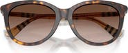 Burberry 55mm Phantos Sunglasses
