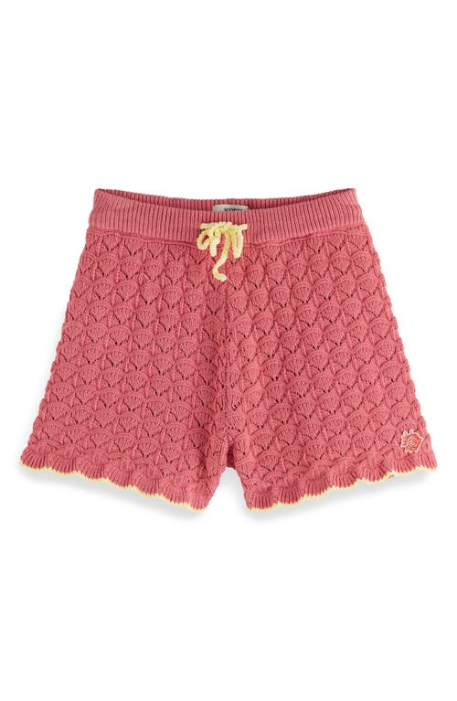 Scotch & Soda Kids' Scallop Pointelle Knit Shorts In Rose Pink