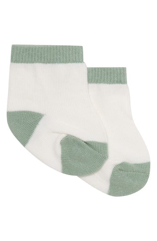 Pl Baby By Petit Lem Cotton Button-up Shirt, Shorts & Socks Set In Palm Tree
