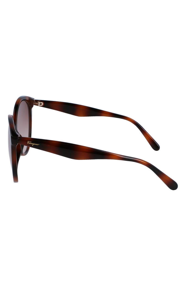 FERRAGAMO 58mm Tea Cup Full Rim Sunglasses, Alternate, color, Tortoise