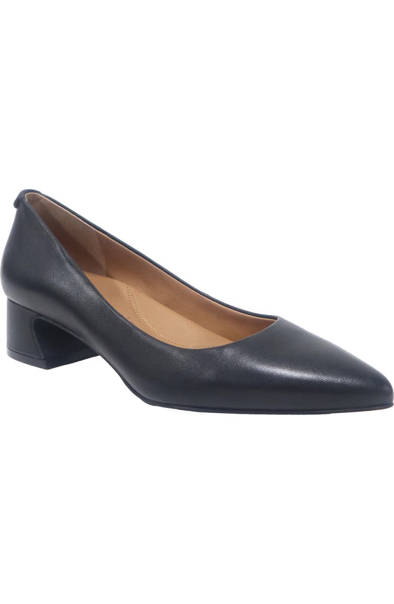 Gentle Souls Gardena Pointed Toe Pump, Main, color, Black Leather
