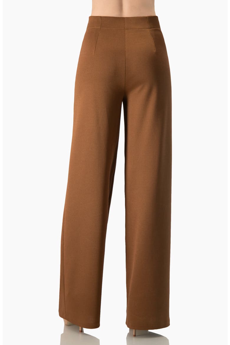 High-Rise Wide-Leg Pants with Back Darts, Alternate, color, Camel