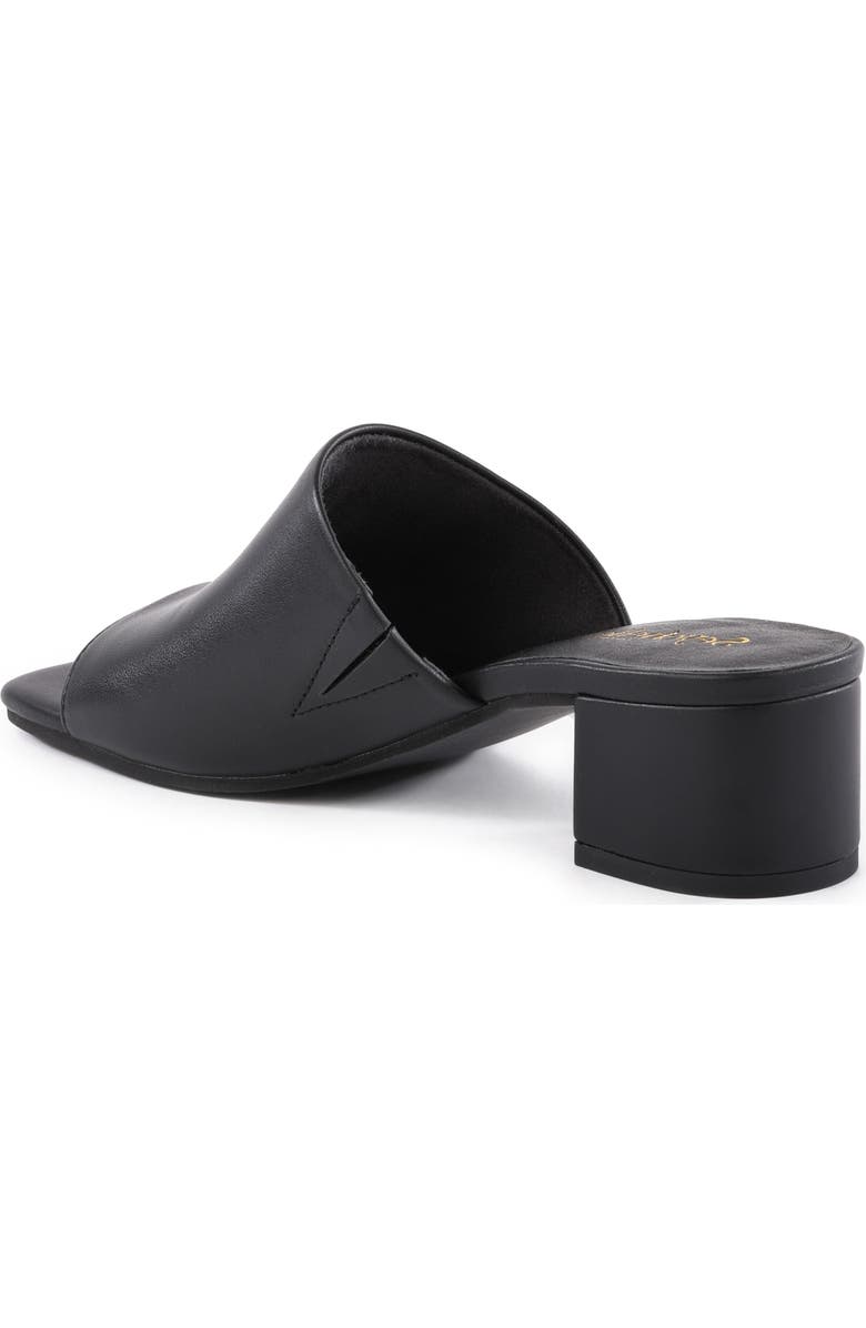 Seychelles Pepper Slide Sandal, Alternate, color, Black