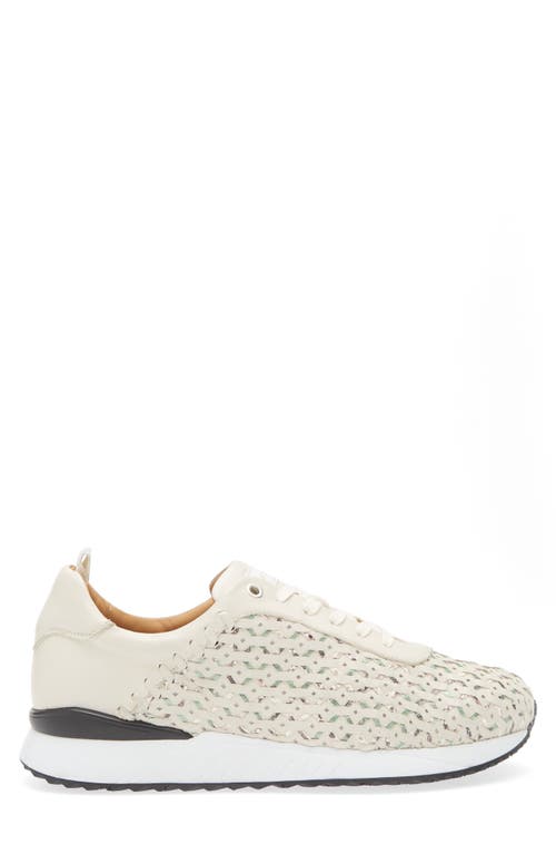 Mezlan Plata Sneaker In Light Green Multi