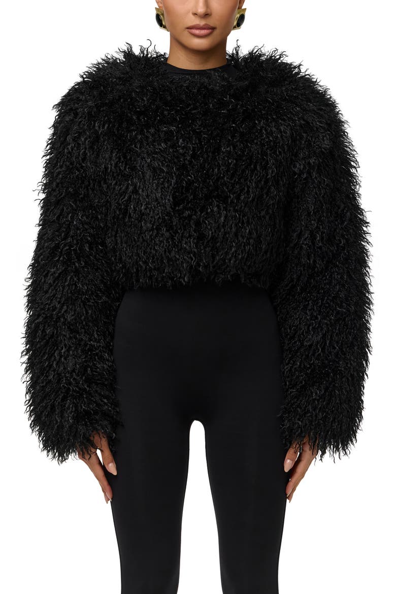 Faux Fur Plush Cropped Jacket, Main, color, BLACK