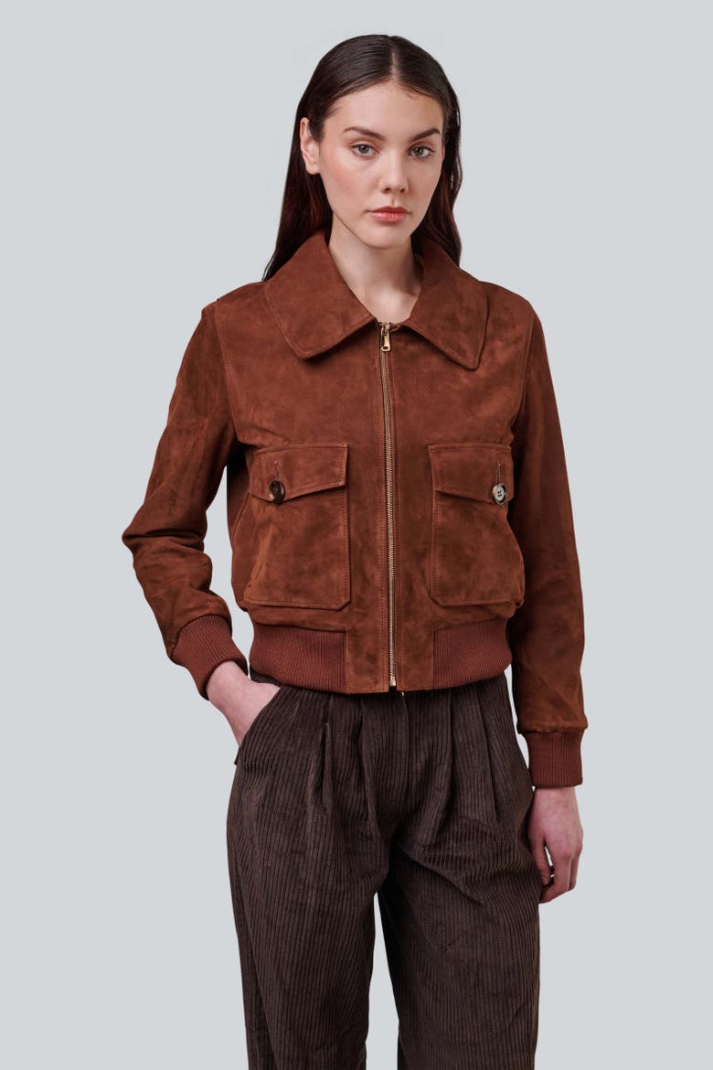 Evie Suede Jacket, Alternate, color, Chestnut
